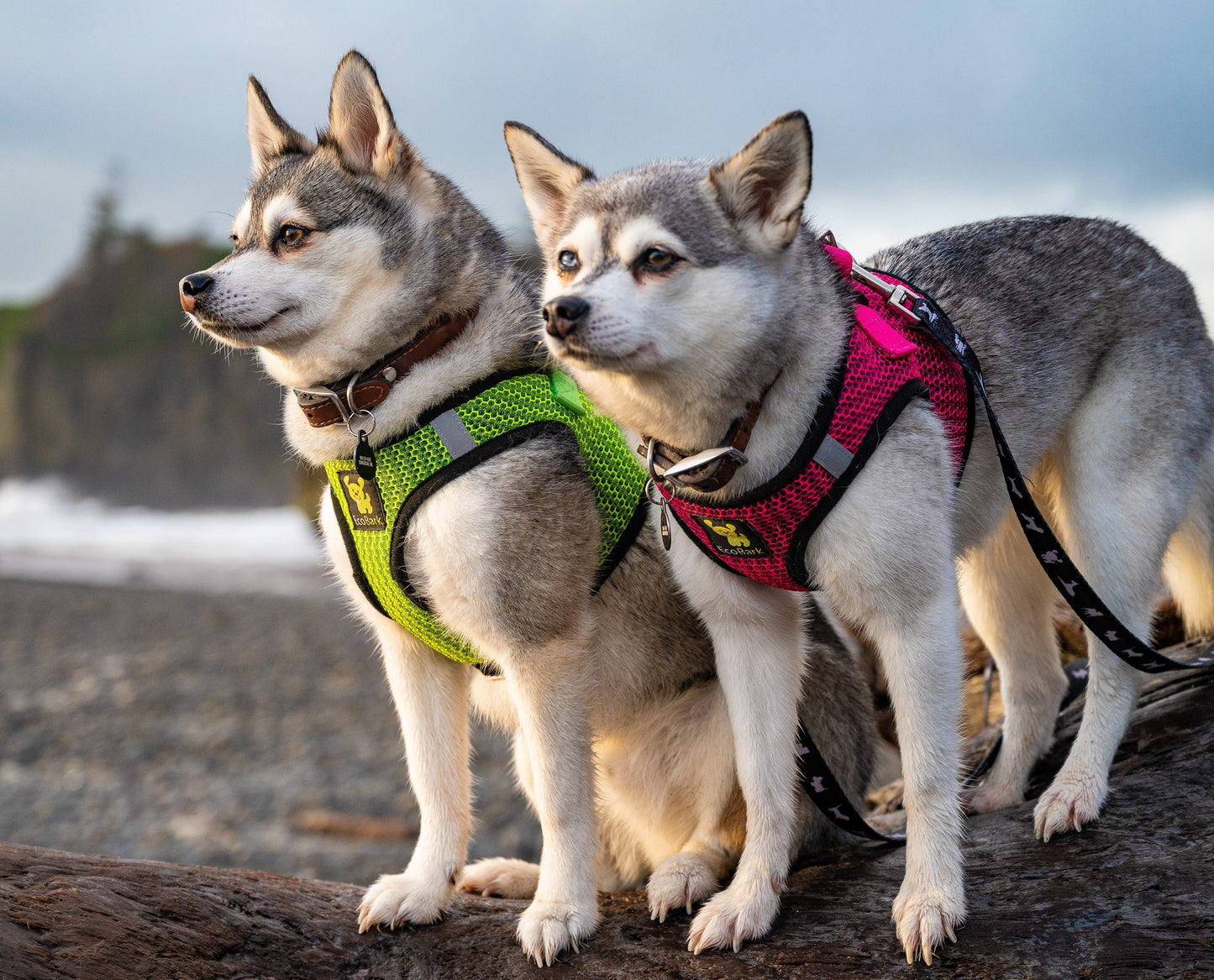 Dog Harness EcoBark Fuchsia Step In Harness Reflective Soft - gallery product image for dog harness