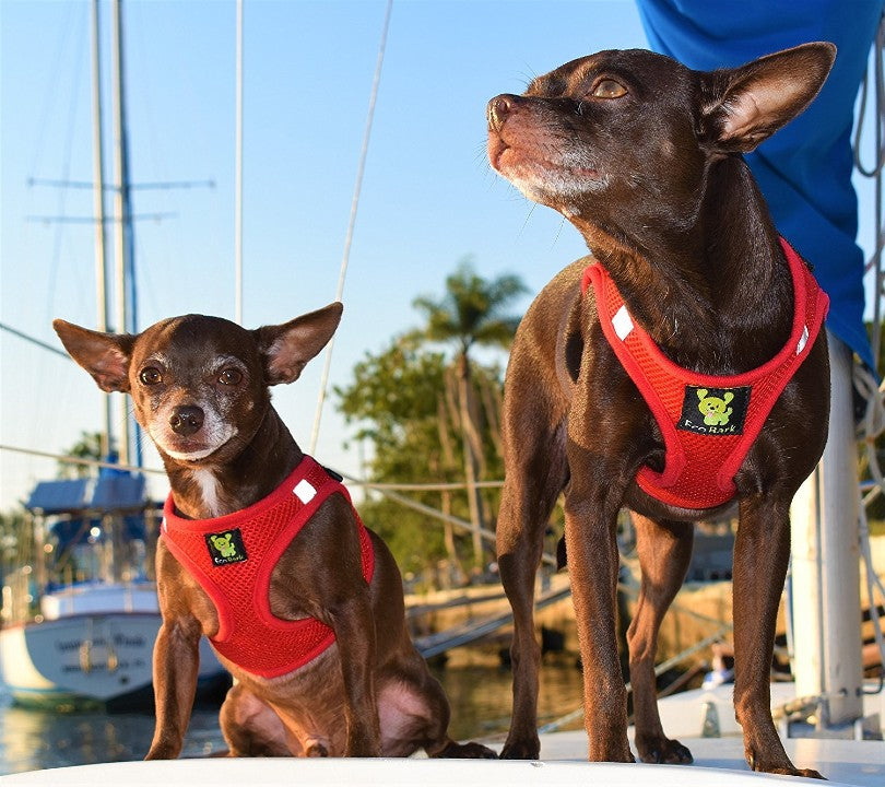 Dog Harness Red Step In Harness for Small Breeds for Essenti - gallery product image for dog harness