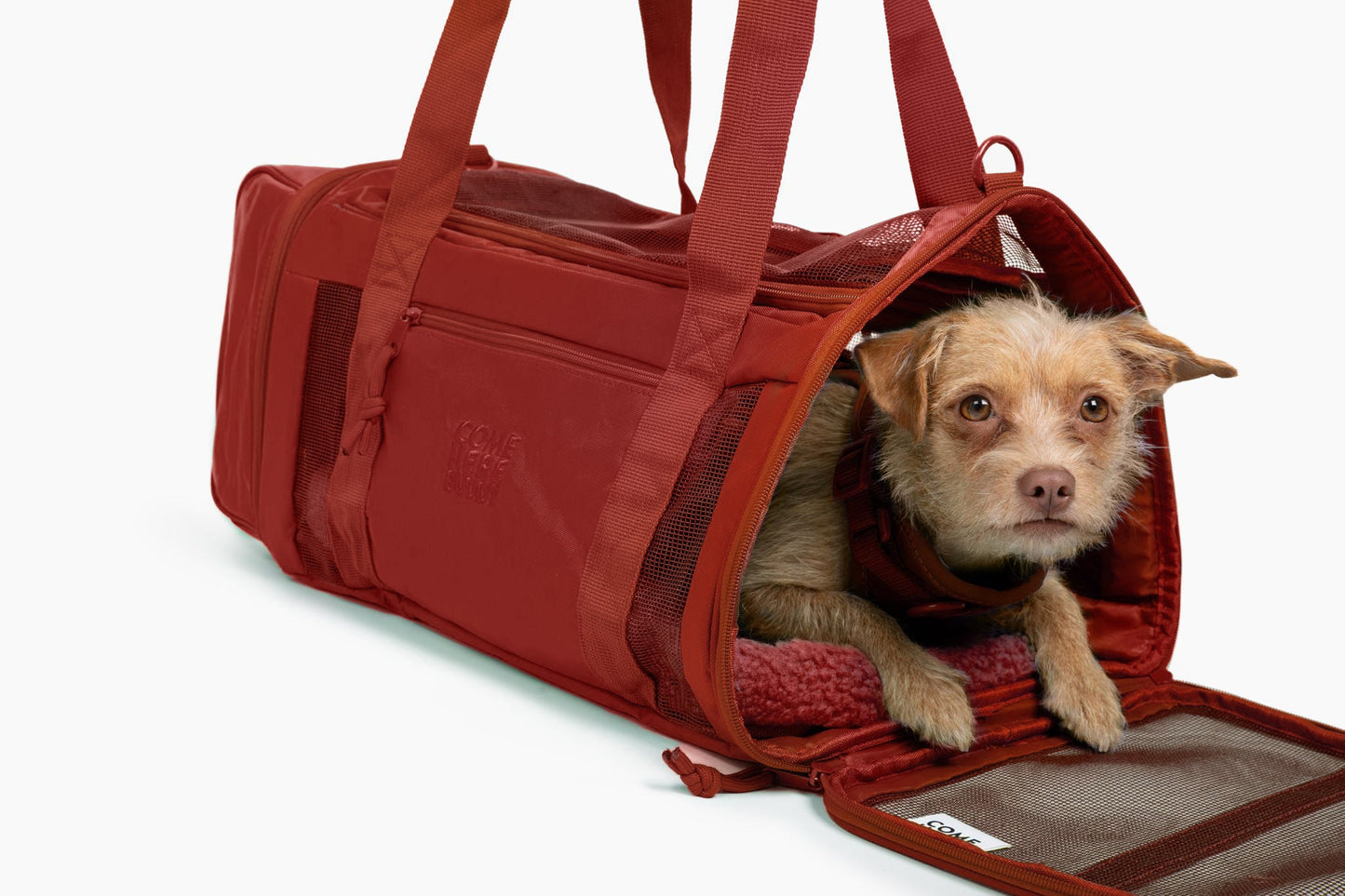 Travel Buddy - Pet Carrier - gallery image 19