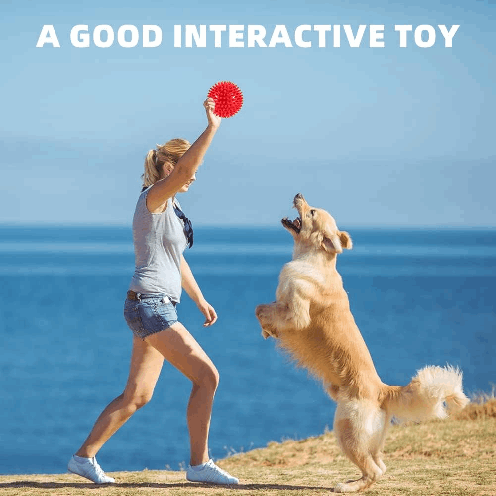 Dog Treats 2 5 Squeaky Interactive Dog Balls for Puppy Teeth - gallery image 15