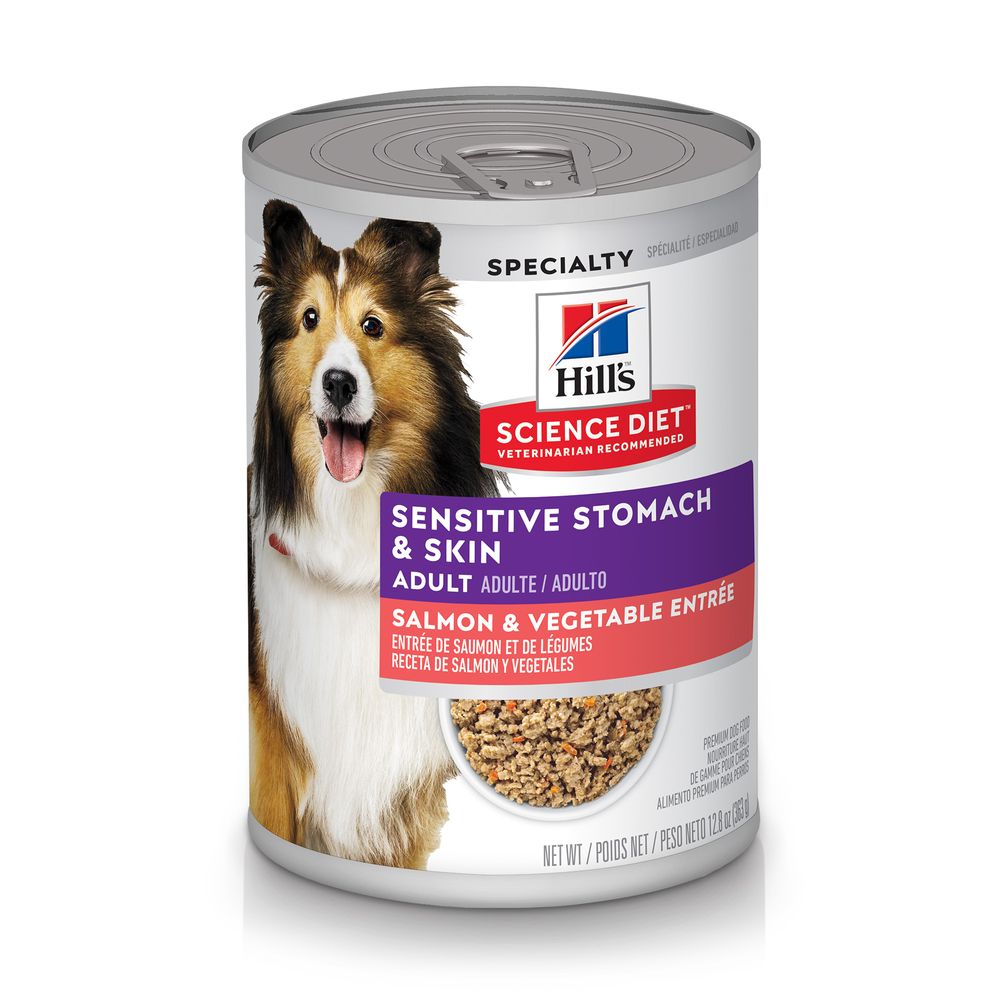 Wet Dog Food Premium Salmon Recipe 12.8oz Daily Meals Premiu - main product image