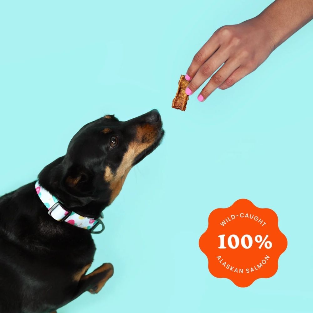 Dog Treats Avas Palace Crunchy Jerky Treats Snappin Salmon - size and texture image for dog treats