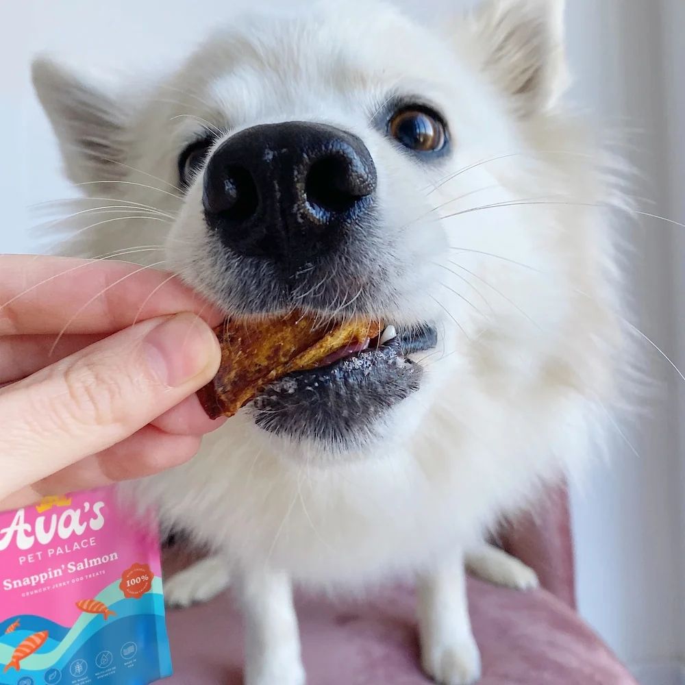 Dog Treats Avas Palace Crunchy Jerky Treats Snappin Salmon - gallery product image for dog treats