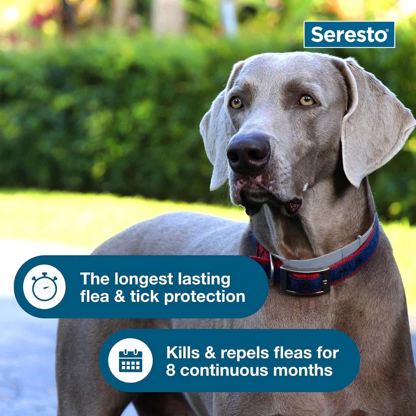 Seresto Flea Tick Dog Collars Pet Health Supplies Premium - gallery image 5
