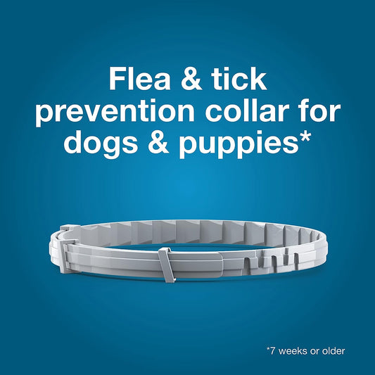 Seresto Flea Tick Dog Collars Pet Health Supplies Premium - detail view