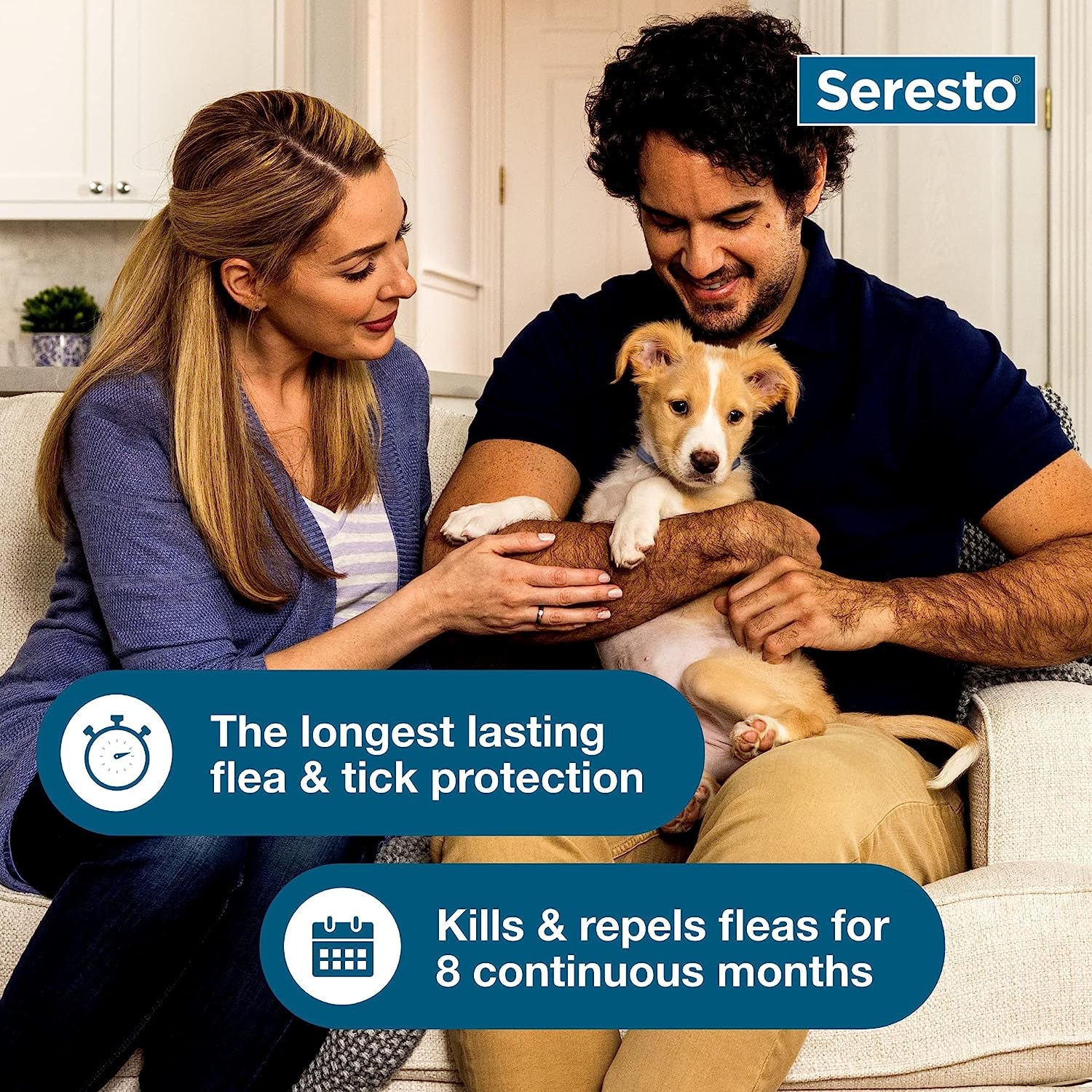 Seresto Flea Tick Dog Collars Pet Health Supplies Premium - lifestyle view