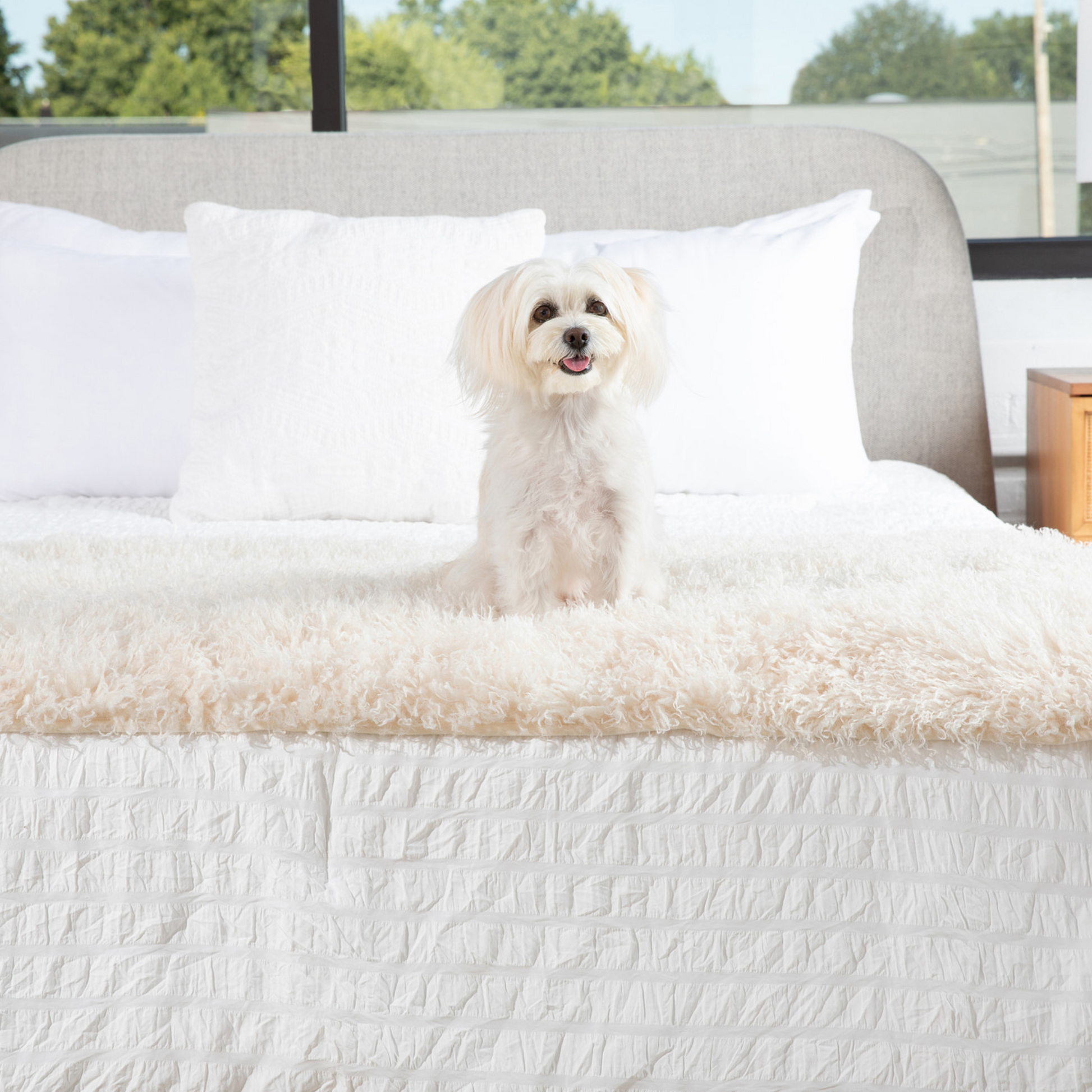 PupProtectorT Luxe Waterproof Bed Runner - Plush Sheep Ivory - close up view