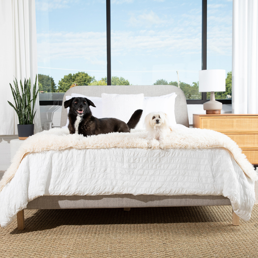 PupProtectorT Luxe Waterproof Bed Runner - Plush Sheep Ivory - main product image