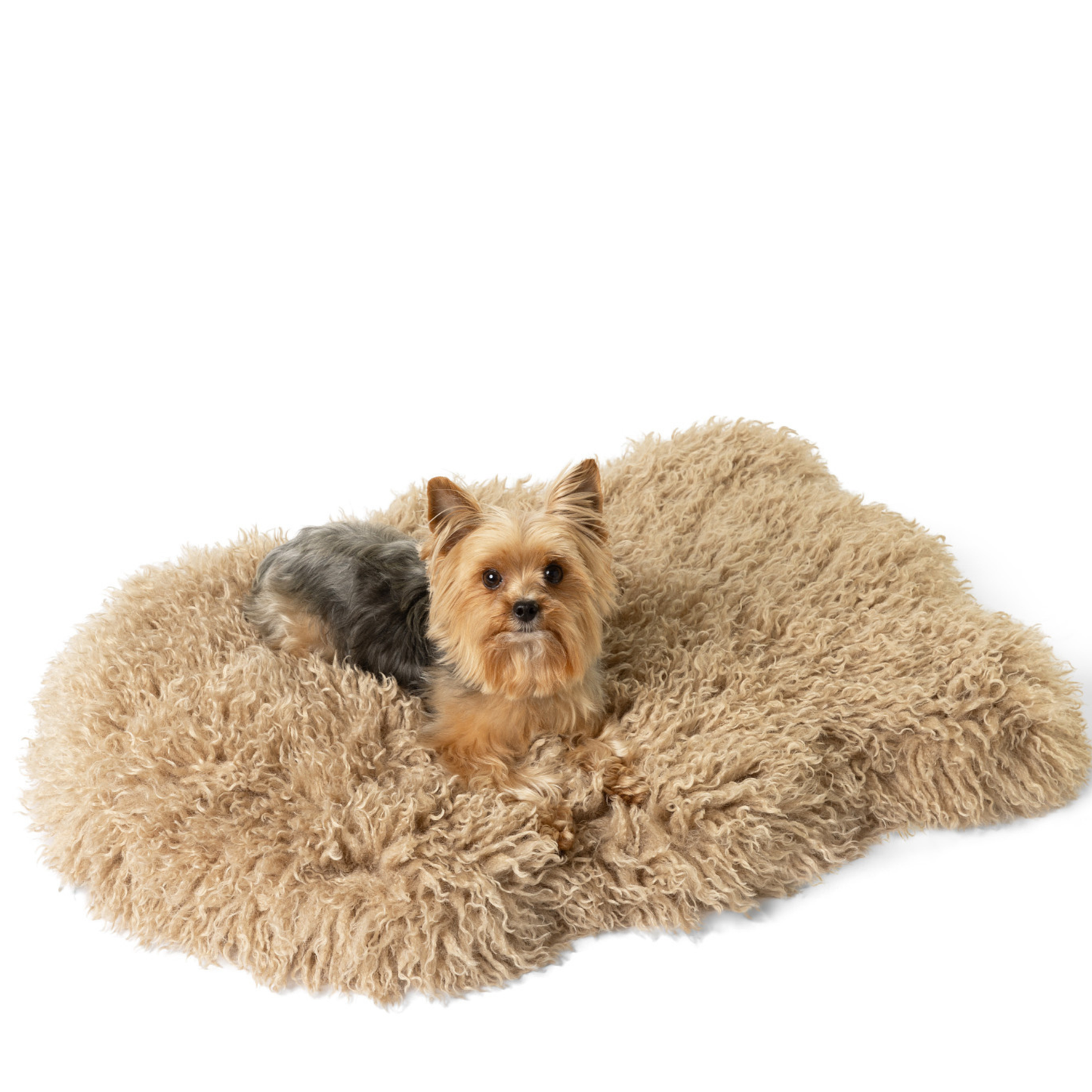 PupRug� Luxe Faux Fur Orthopedic Dog Bed -  Plush Sheep Tan - gallery image 5