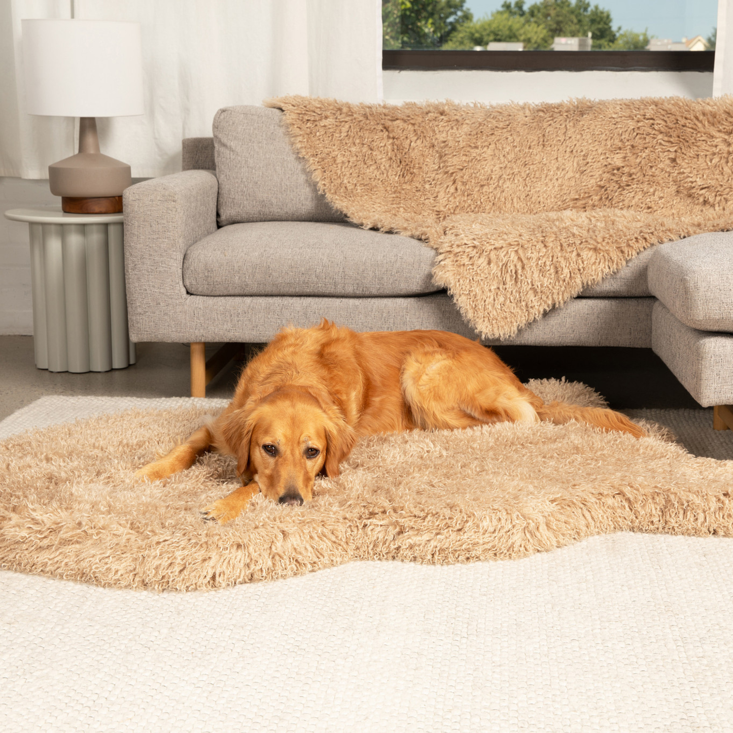 PupRug� Luxe Faux Fur Orthopedic Dog Bed -  Plush Sheep Tan - gallery image 13