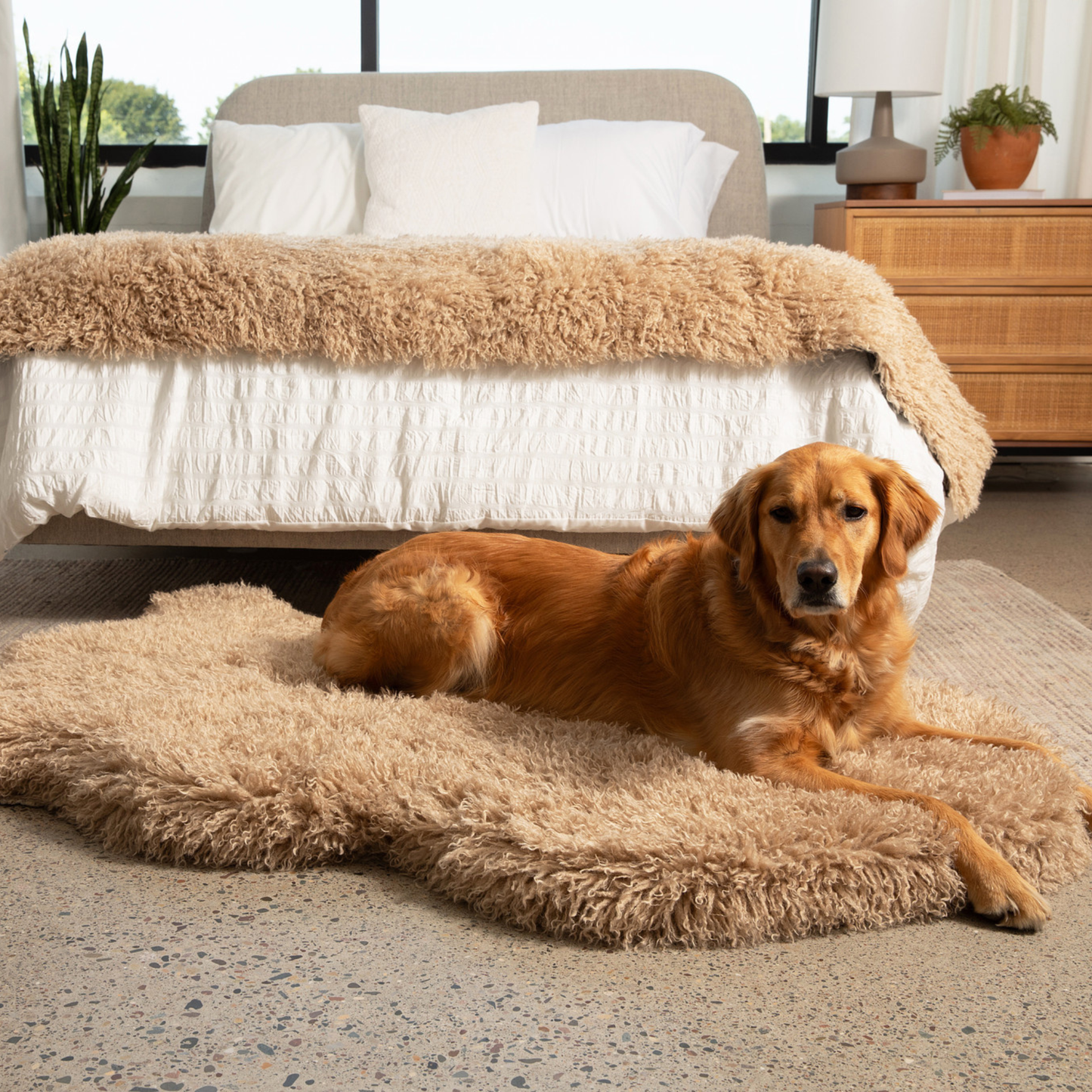 PupRug� Luxe Faux Fur Orthopedic Dog Bed -  Plush Sheep Tan - main product image
