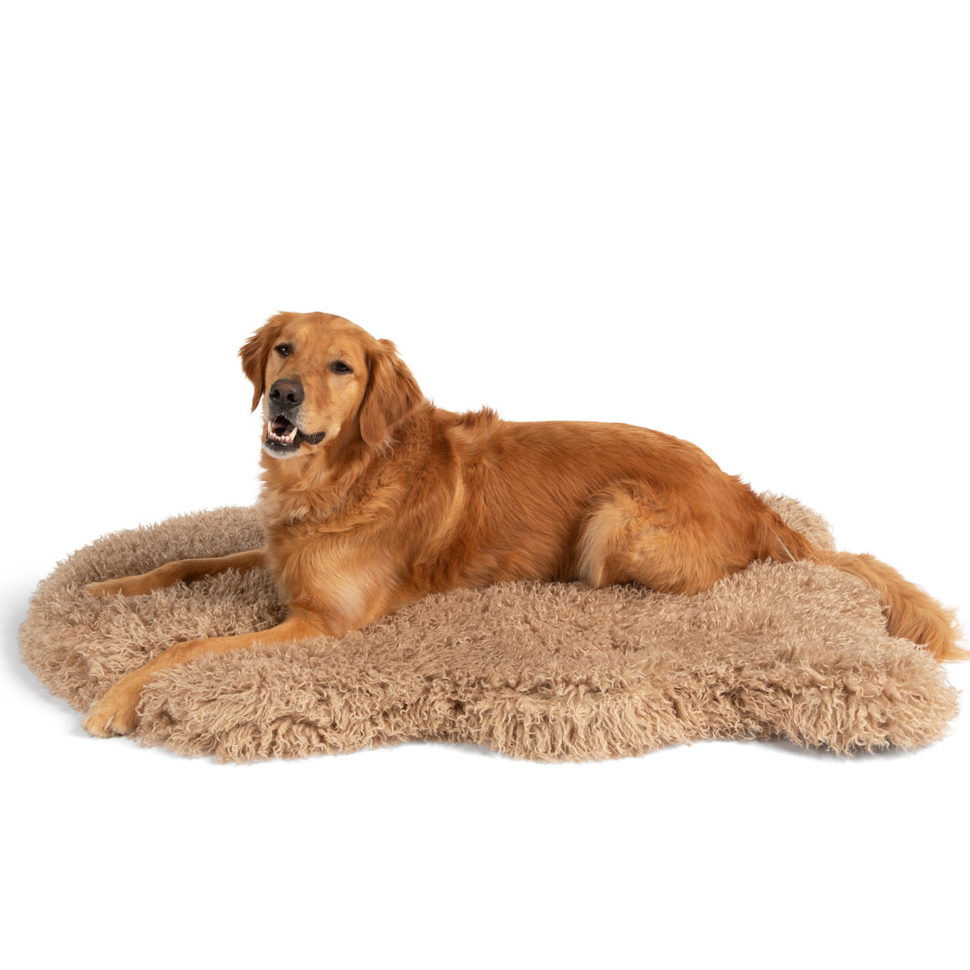 PupRug� Luxe Faux Fur Orthopedic Dog Bed -  Plush Sheep Tan - gallery image 12