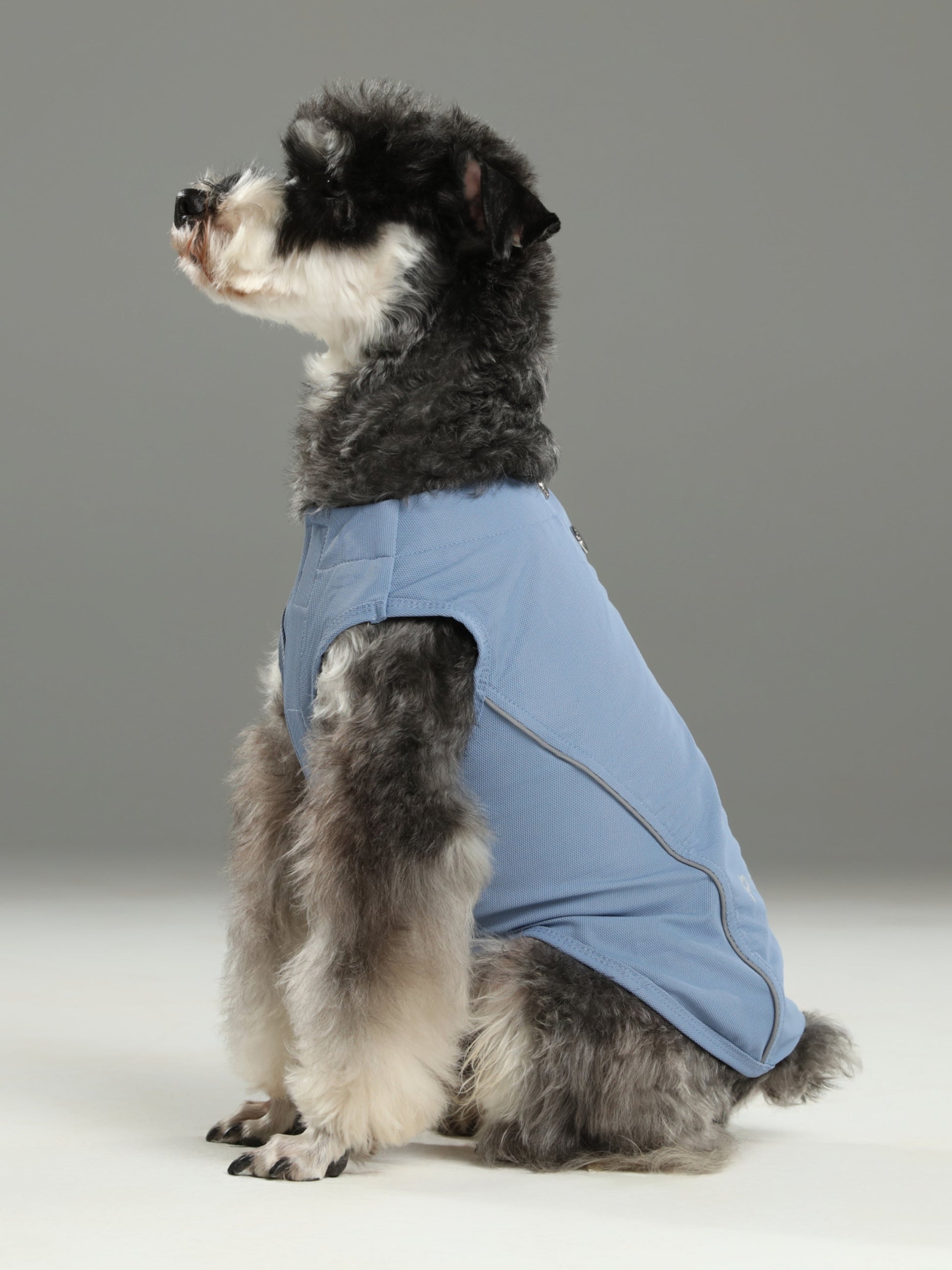 Chill Vest Shirt Blue Dog Apparel Premium Pet Supply Premium - main product image