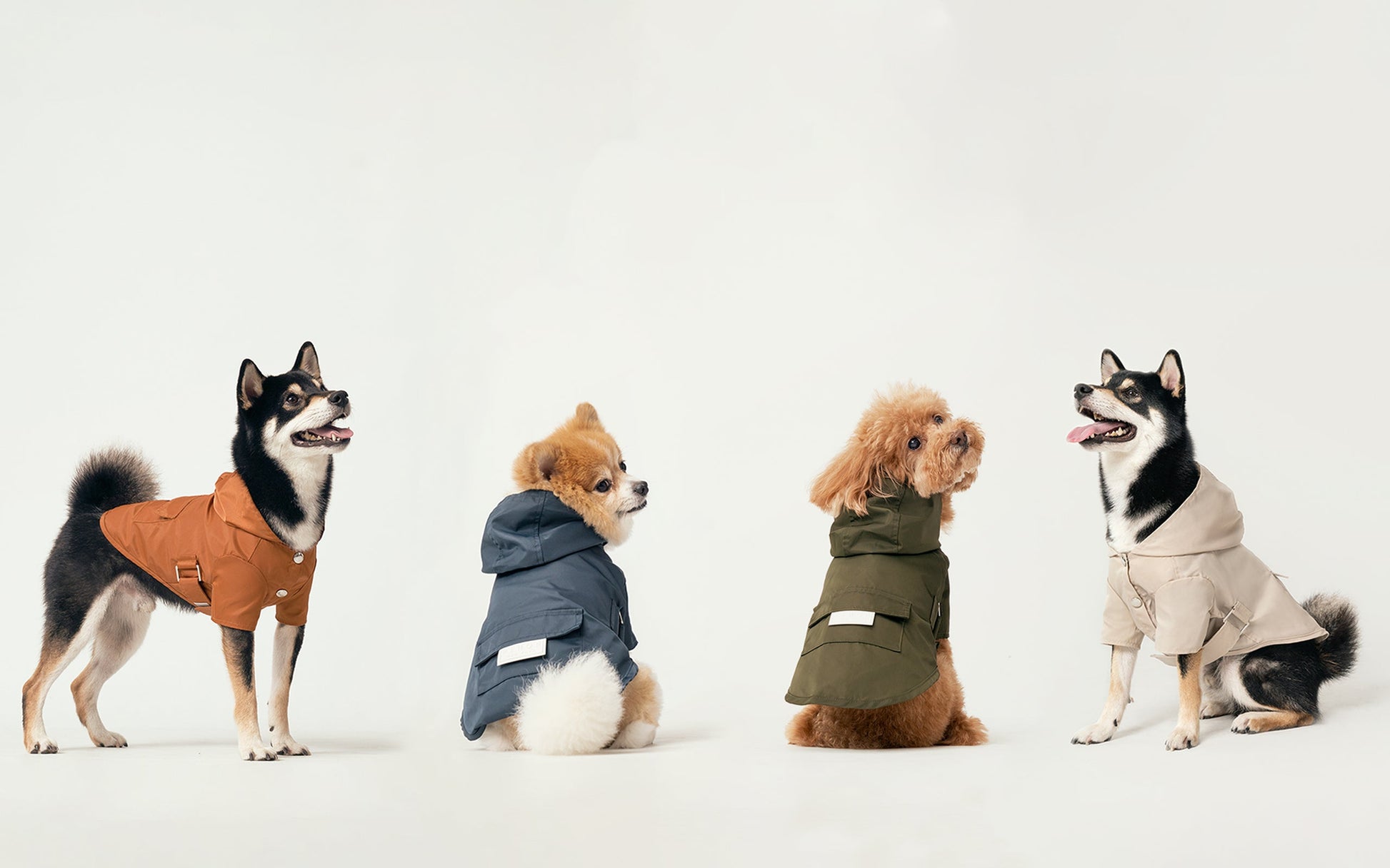 Bowery Raincoat Beige Dog Apparel Premium Pet Supply Premium - gallery image 16