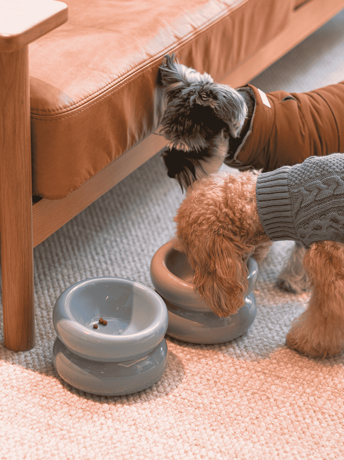 Pet Feeders & Bowls Adjustable Blue Premium Pet Supply Premi - lifestyle view