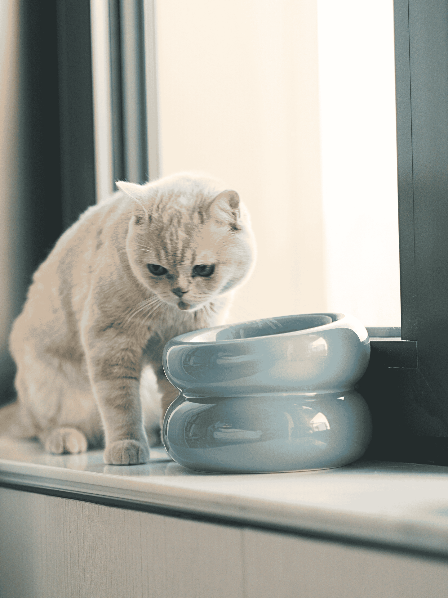 Pet Feeders & Bowls Adjustable Blue Premium Pet Supply Premi - detail view