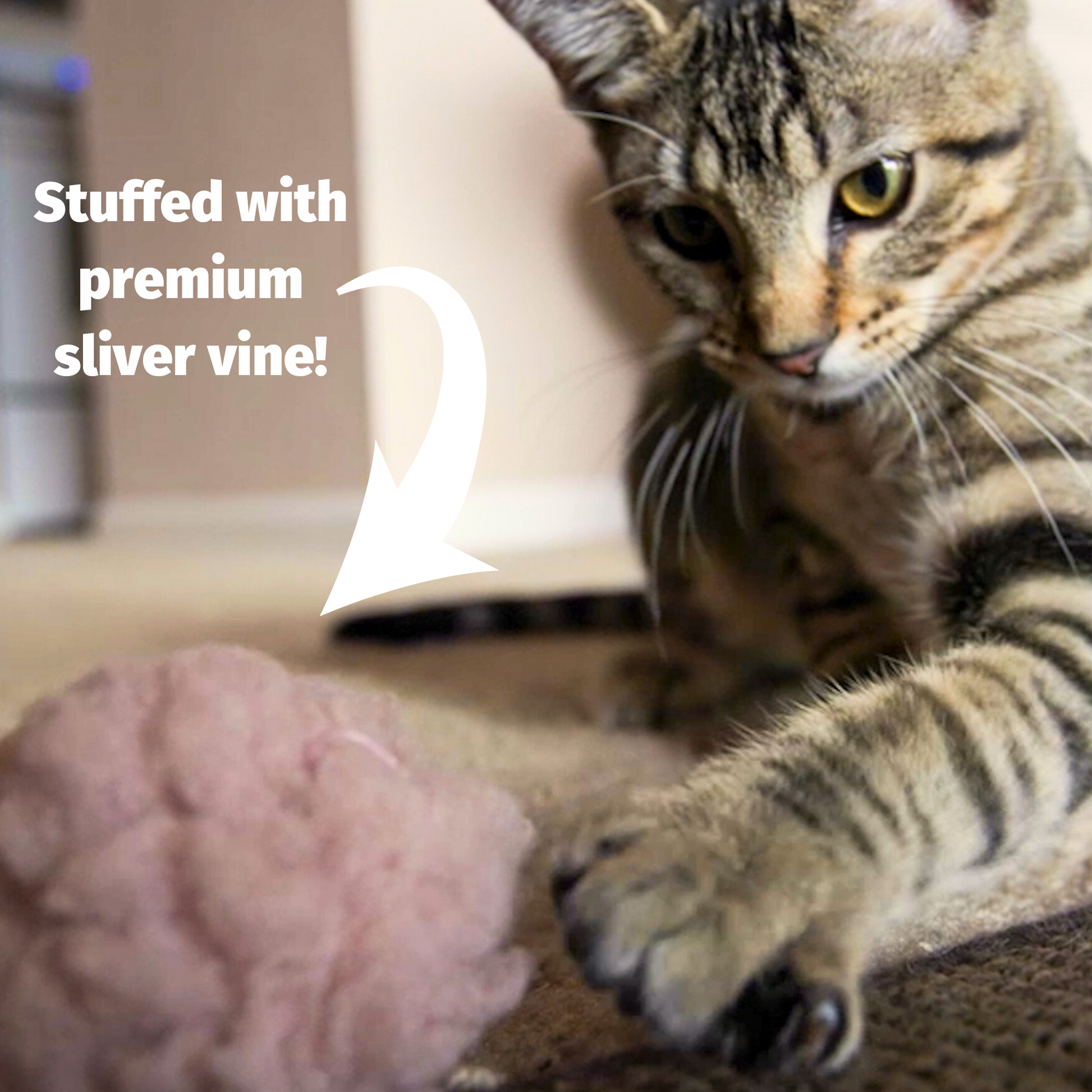 Cat Toy HuggleKats FlufferFleece Ballies Plush Toys Pack main product image for dogs and cats