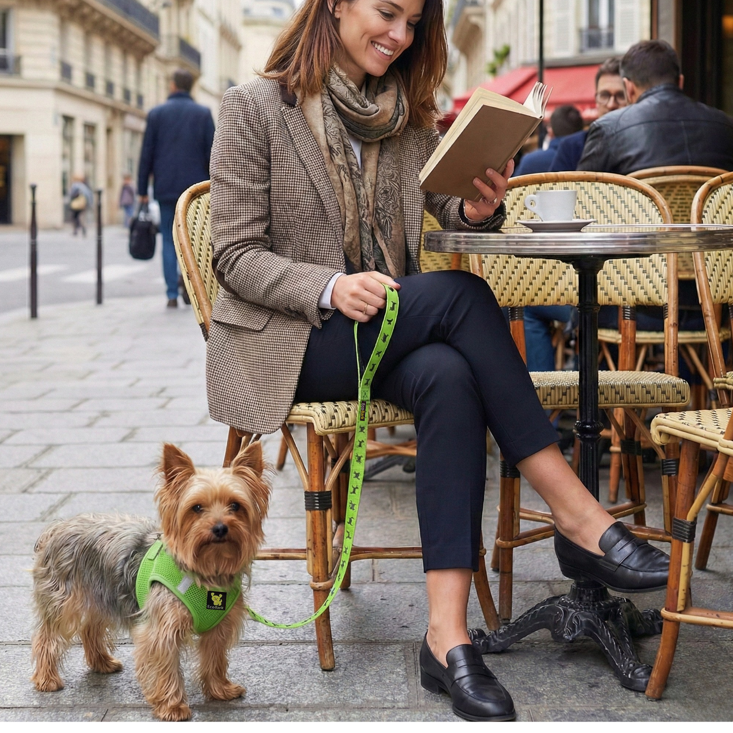 Dog Harness EcoBark Step In Harness XXXS to Small Breeds- - gallery product image for dog harness