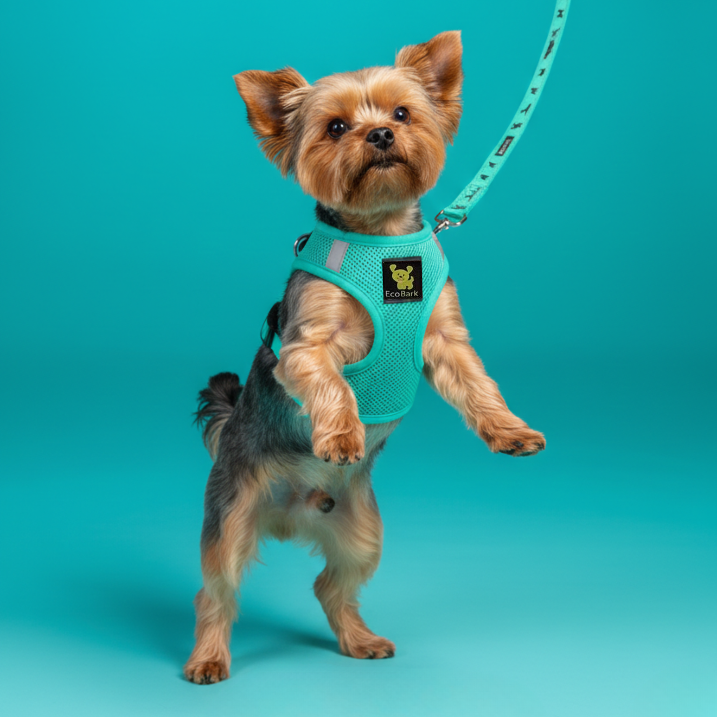 Dog Leash EcoBark Mint Turquoise Leash Comfort Grip Padded - gallery product image for dog leash