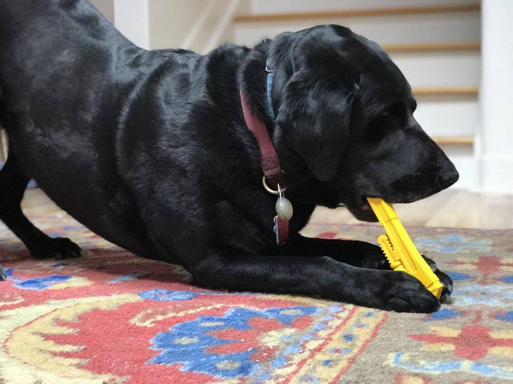 Pipe Wrench Nylon Dog Toy For Aggressive Chewers USA Made - gallery image 10