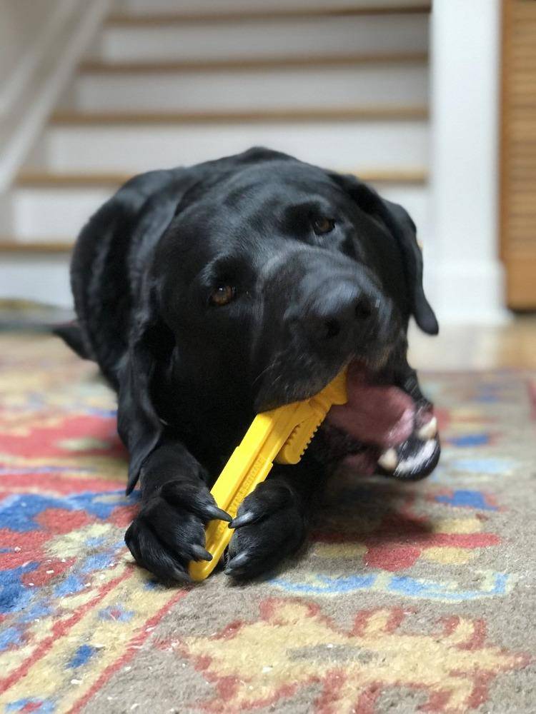 Pipe Wrench Nylon Dog Toy For Aggressive Chewers USA Made - gallery image 8