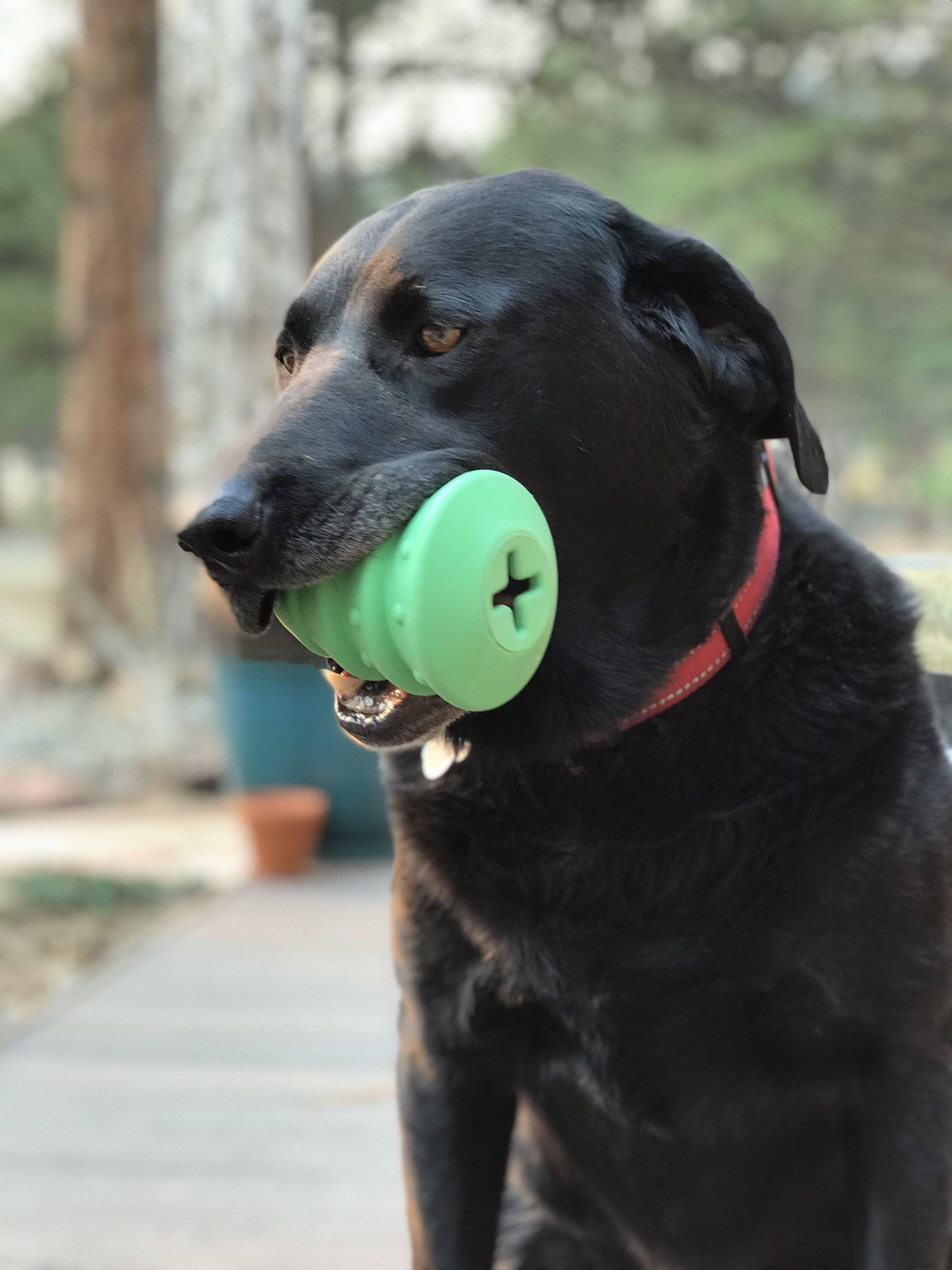Christmas Tree Dog Toy Durable Rubber Chew Toy For Large USA - gallery image 5