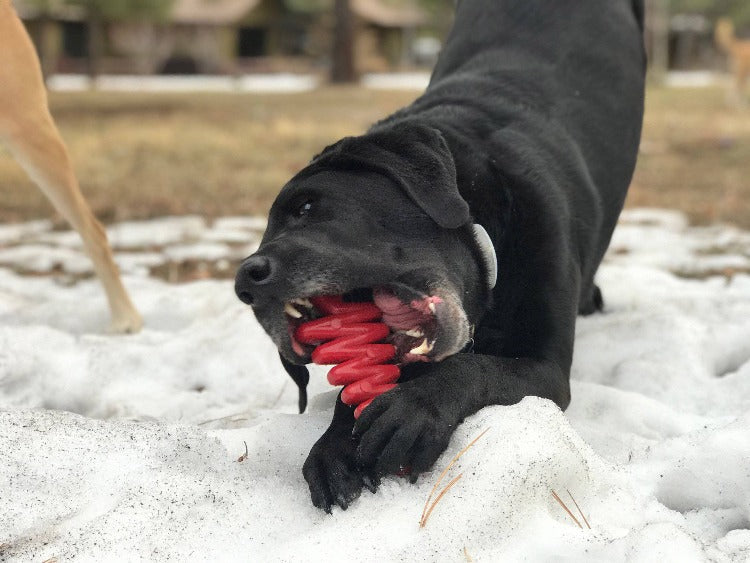 Christmas Tree Nylon Dog Chew Toy For Aggressive Chewers USA - gallery image 5