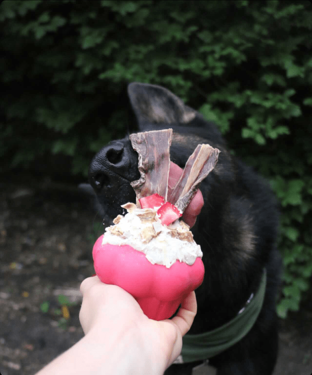 Cupcake Edispenser Durable Rubber Chew Toy Treat Dispenser - gallery image 5