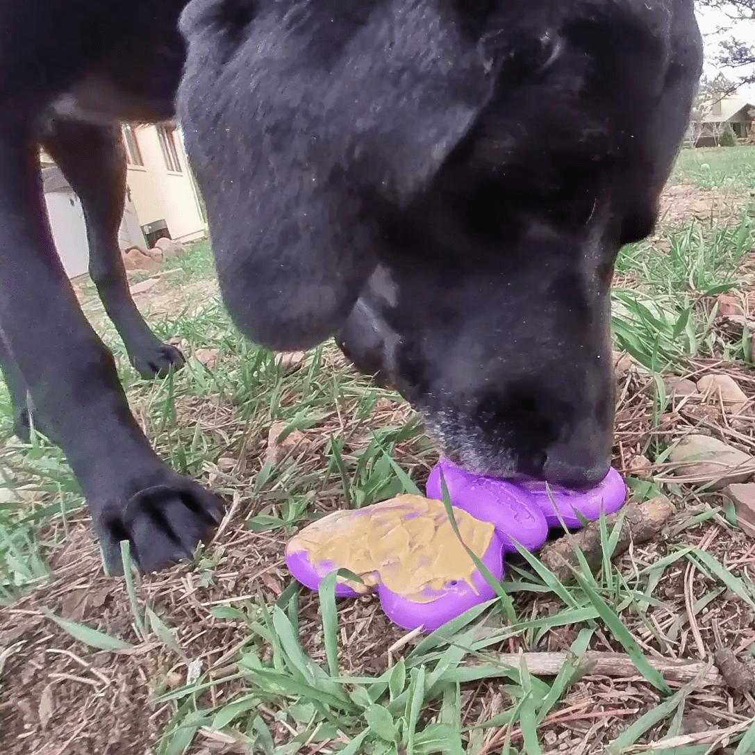 Butterfly Nylon Chew Enrichment Toy 2 In 1 For Aggressive - gallery image 11