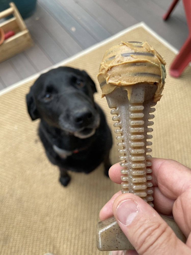 Honey Bone Dental Tower Nylon Chew Toy For Aggressive USA - gallery image 7