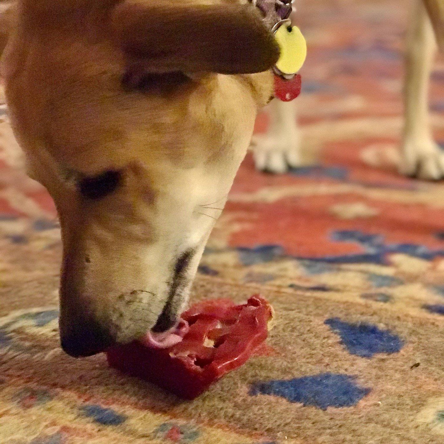 Cherry Pie Nylon Dog Chew Toy For Aggressive Chewers USA Dog - gallery image 7