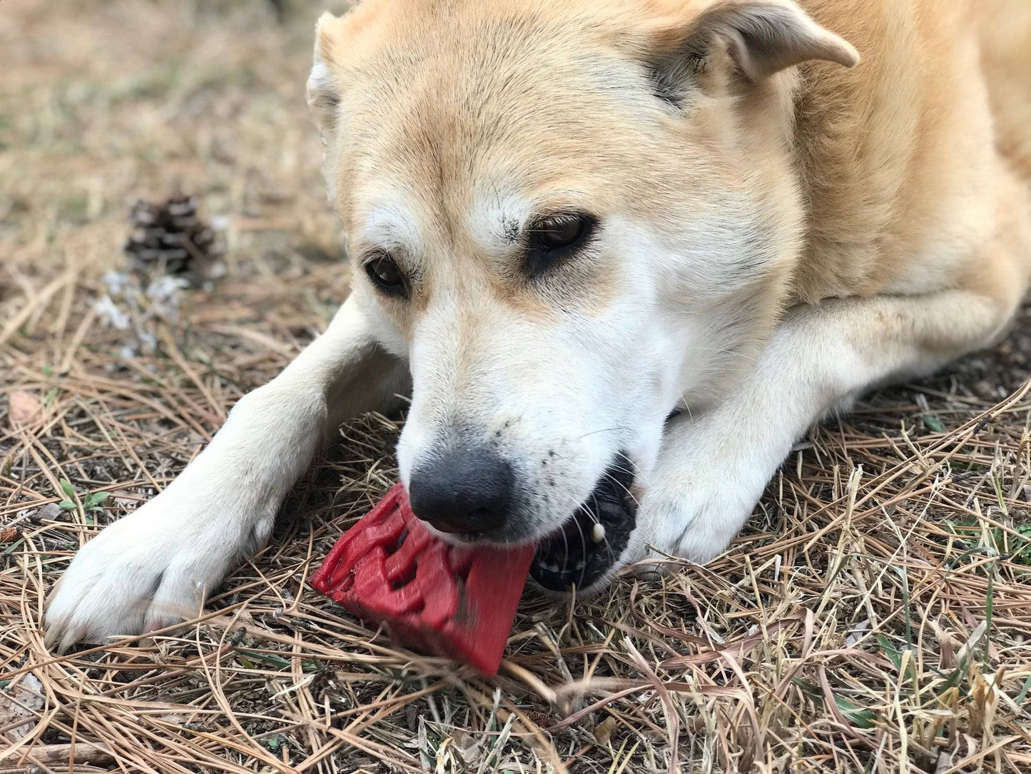 Cherry Pie Nylon Dog Chew Toy For Aggressive Chewers USA Dog - gallery image 8