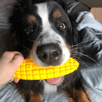 Corn On The Cob Nylon Dog Toy For Aggressive Chewers USA Dog - gallery image 8