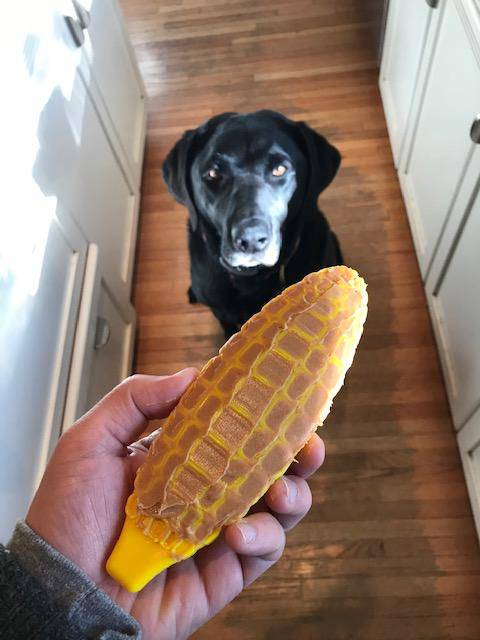 Corn On The Cob Nylon Dog Toy For Aggressive Chewers USA Dog - close up view