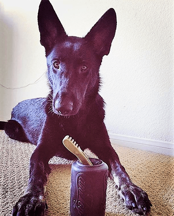 Magnum Can Toy Rubber Dog Chew Toy For Extreme Chewers Treat - gallery image 11