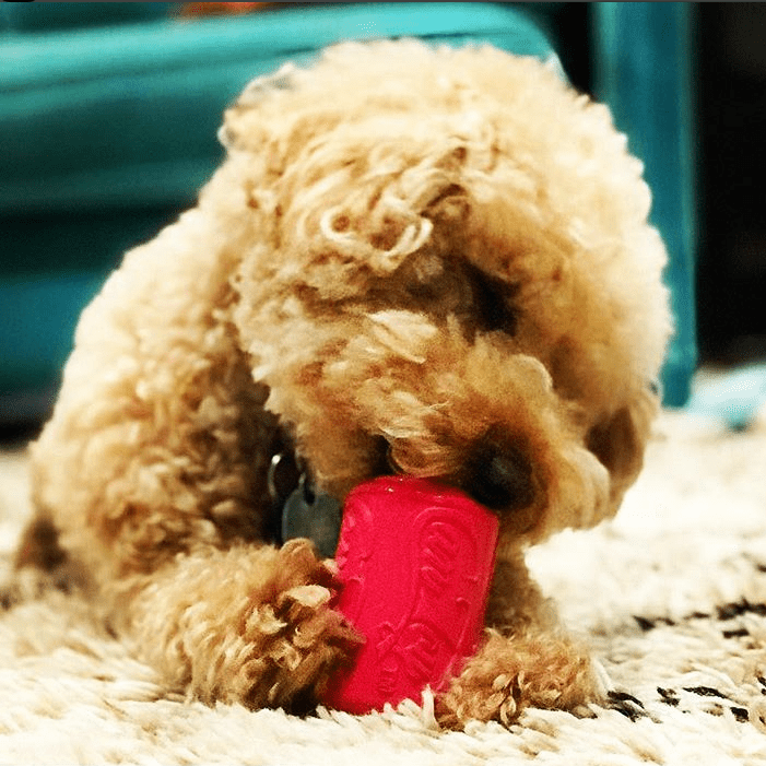 Puppy Can Toy Rubber Chew Toy For Teething Puppies Treat USA - gallery image 9