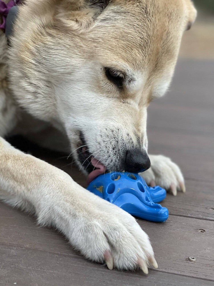 Starfish Nylon Dog Chew Toy For Aggressive Chewers USA Made - gallery image 11