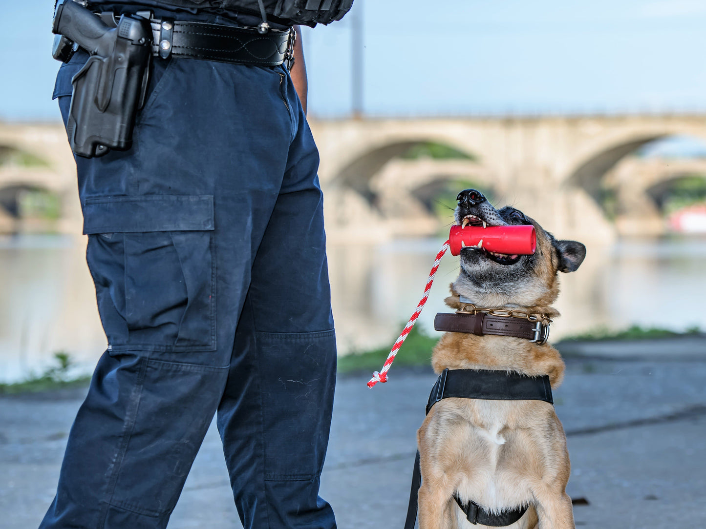 USA K9 Firecracker Floating Training Dummy K9 Handler Reward - gallery image 14