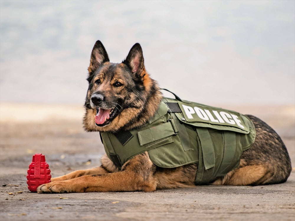 USA K9 Grenade Shaped Edispenser Durable Dog Chew To 42885 - gallery image 8
