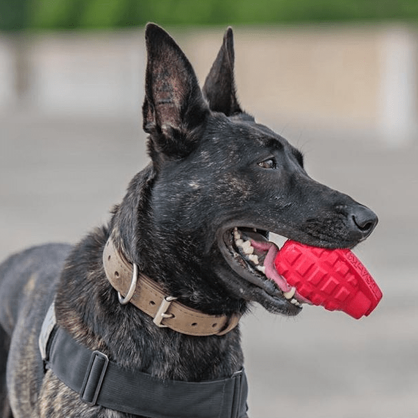 USA K9 Grenade Shaped Edispenser Durable Dog Chew To 10117 - gallery image 5