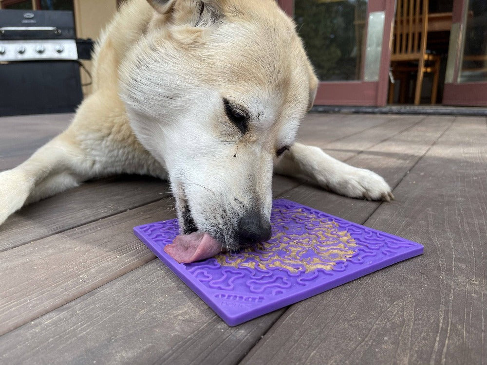 Bones Emat Enrichment Lick Mat For Dogs And Cats Emat Toy - gallery image 9