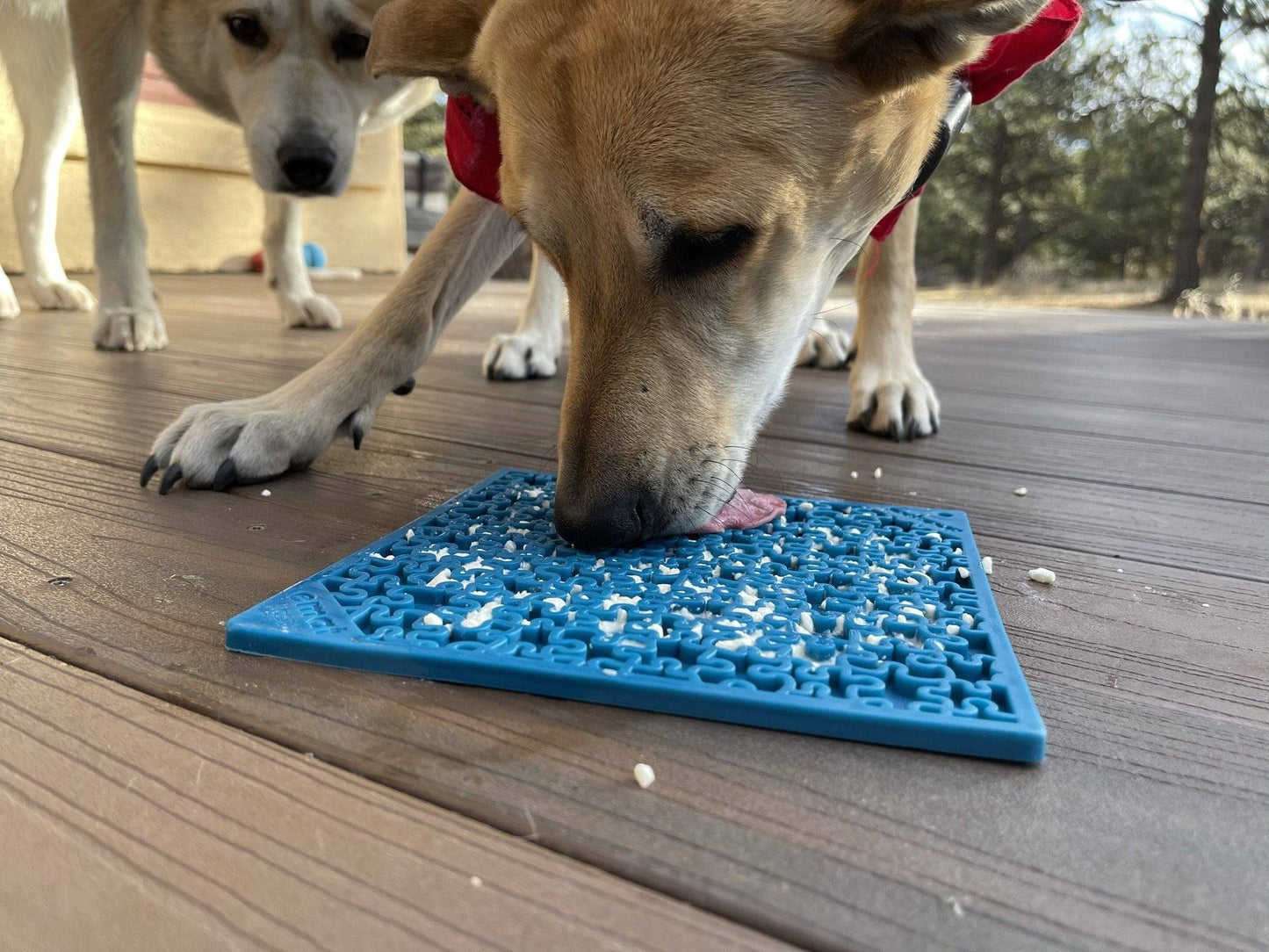 Jigsaw Puzzle Emat Enrichment Lick Mat For Dogs And Cats Toy - gallery image 7