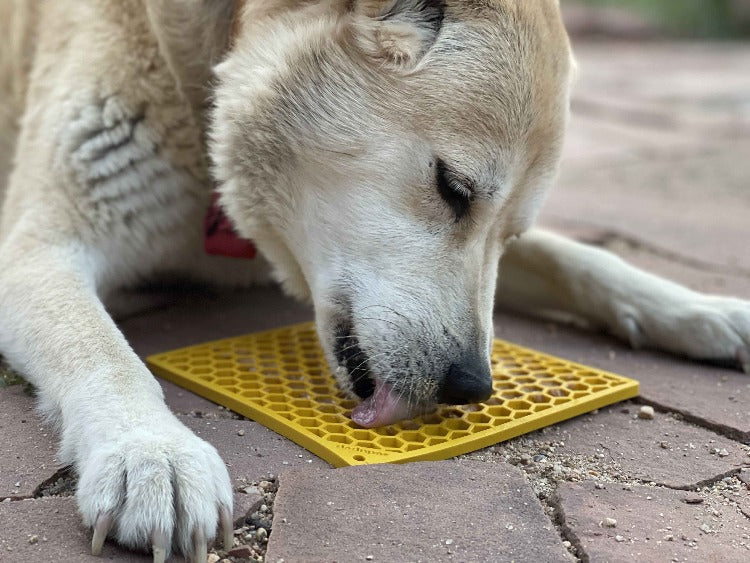 Honeycomb Emat Enrichment Lick Mat For Dogs And Cats Emat - gallery image 11
