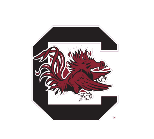 Dog Toy NCAA University of South Carolina Cocky Knottie main product image for dogs and cats