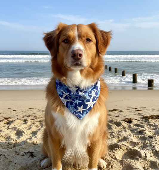 Starfish Dog Bandana - detail view