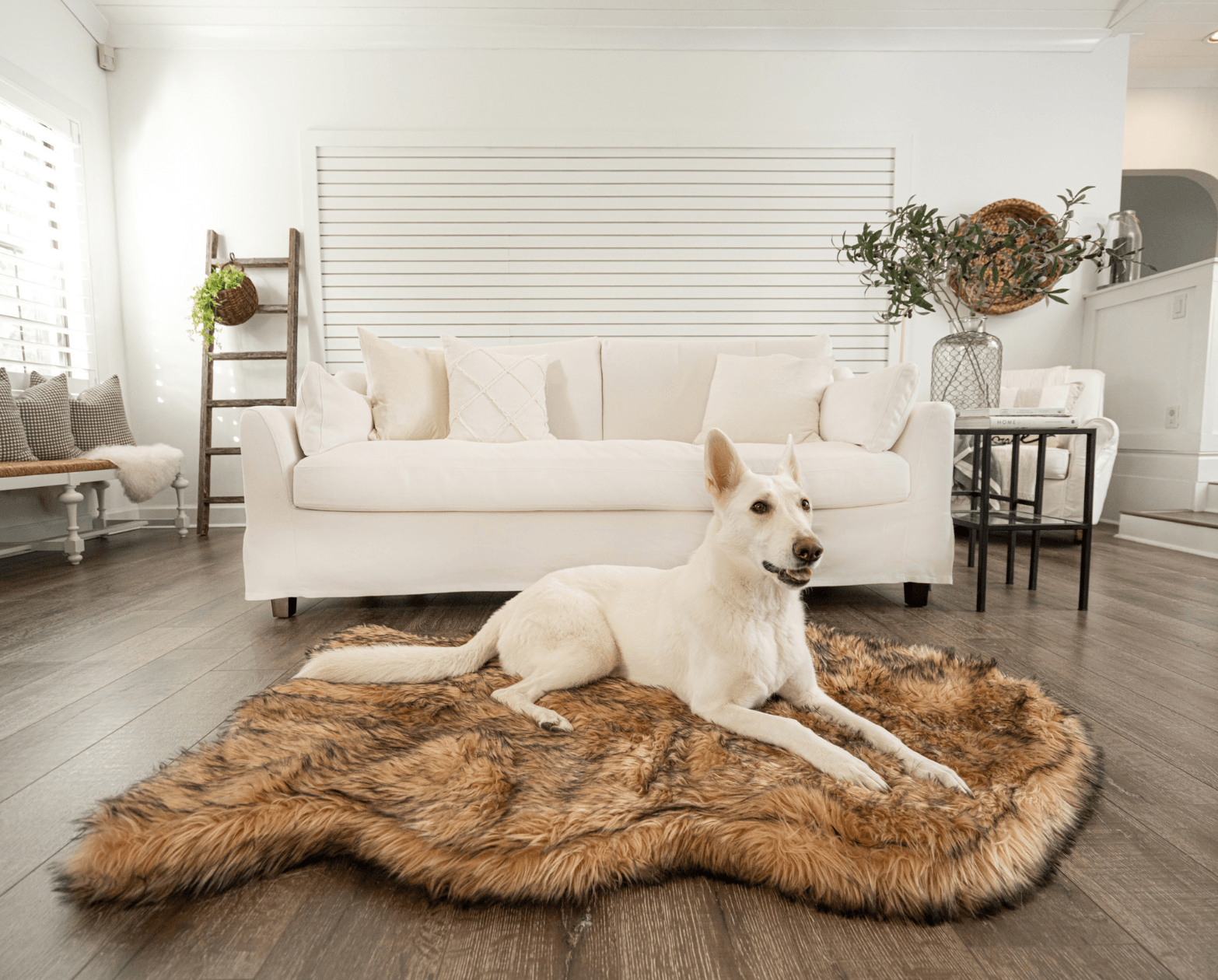 Memory Foam Dog Bed Faux Fur Sable Tan Orthopedic Comfort - main product image