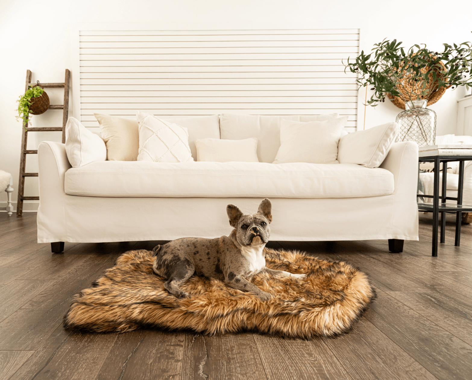 Memory Foam Dog Bed Faux Fur Sable Tan Orthopedic Comfort - gallery image 5