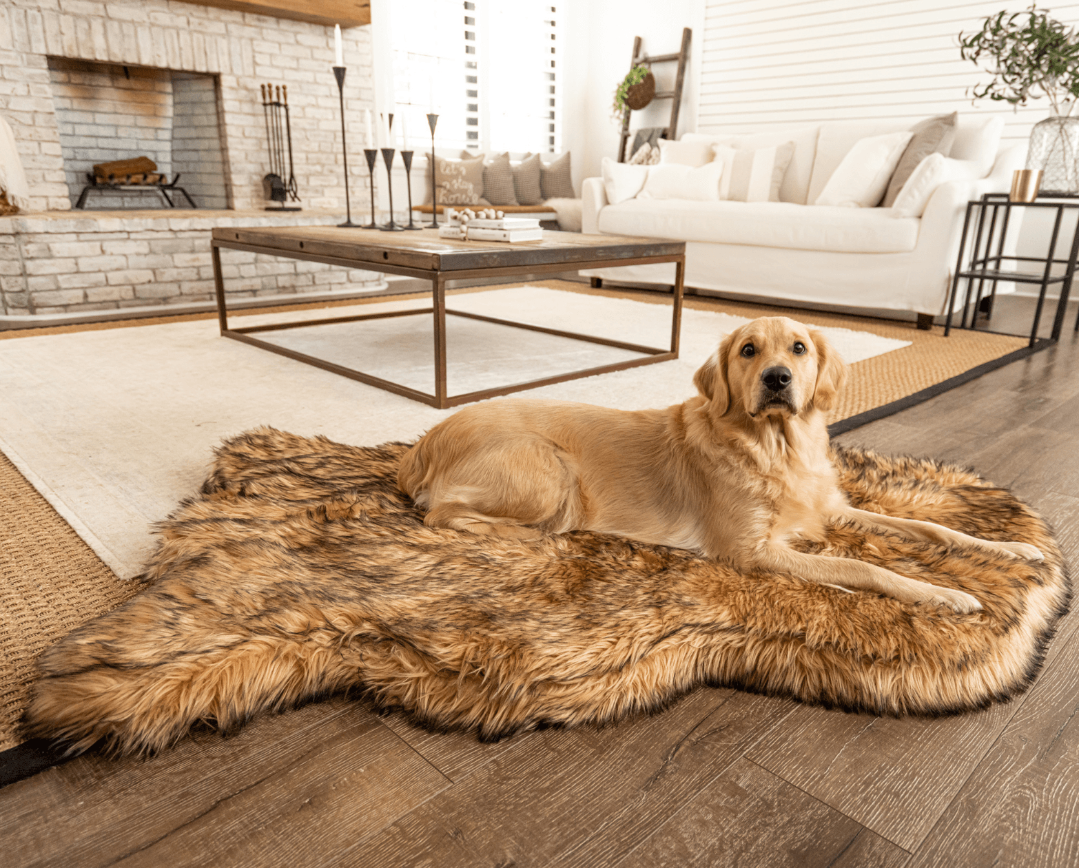 Memory Foam Dog Bed Faux Fur Sable Tan Orthopedic Comfort - lifestyle view