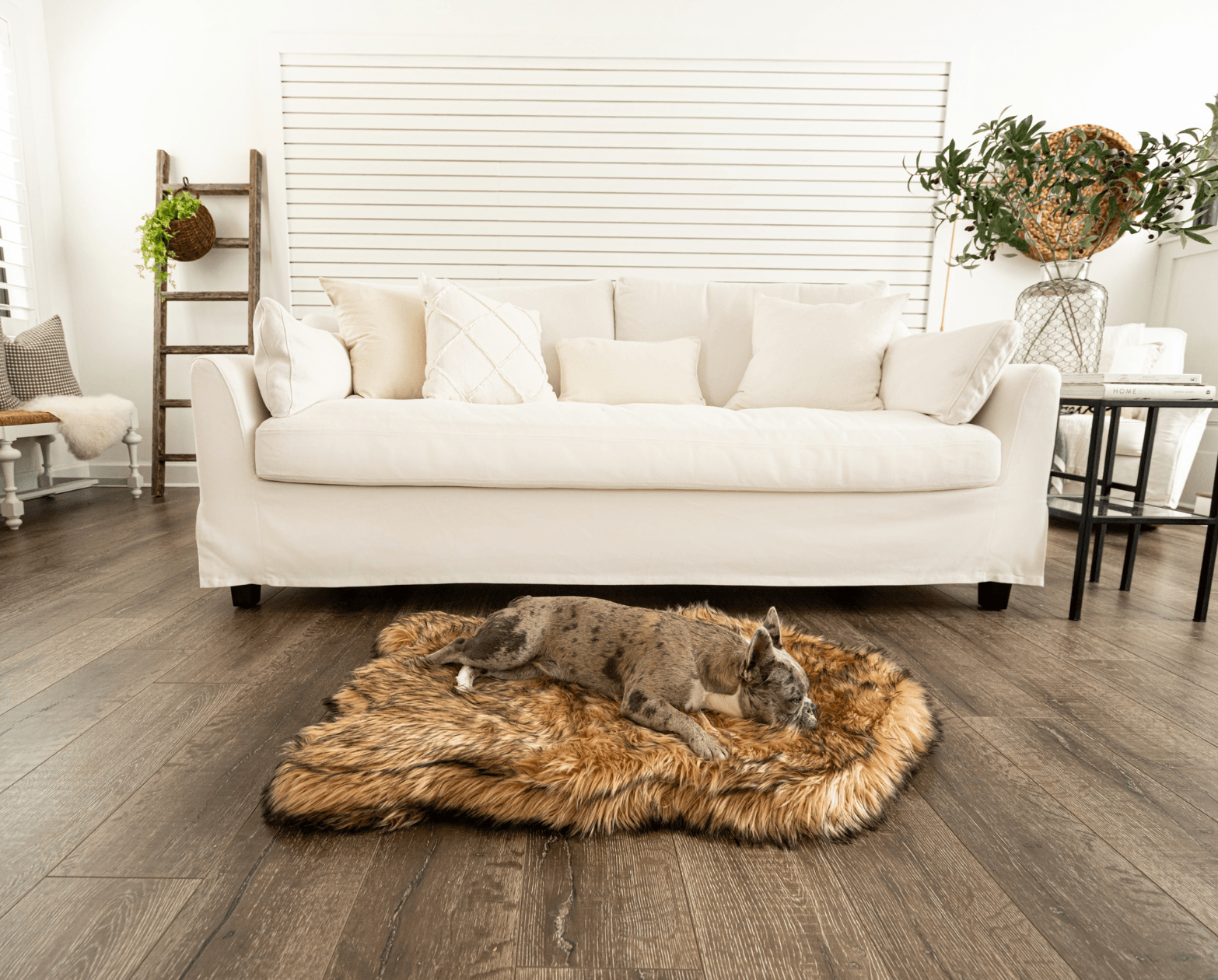 Memory Foam Dog Bed Faux Fur Sable Tan Orthopedic Comfort - gallery image 11