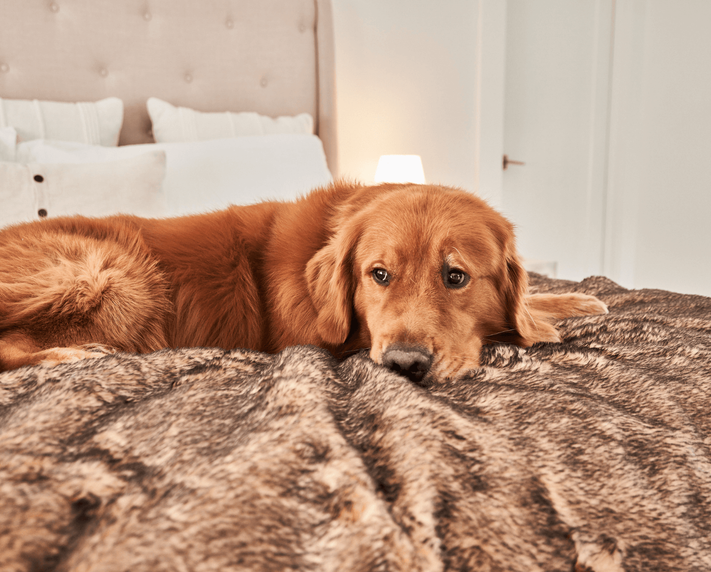 Pupprotector Summer Short Fur Waterproof Throw Blanket Tan - gallery image 9